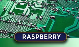 RASPBERRY